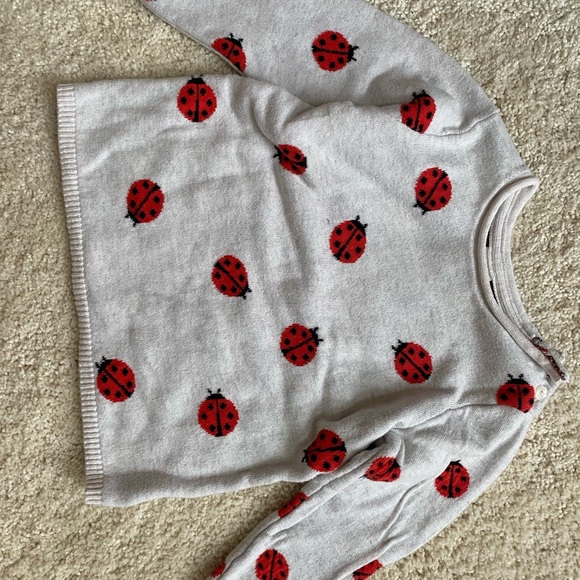H&M ladybug sweater. Toddler 9-12 months - Picture 1 of 3